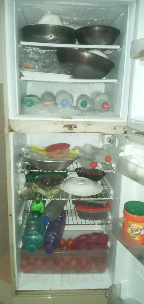 Pel Refrigerator in Working Condition 2