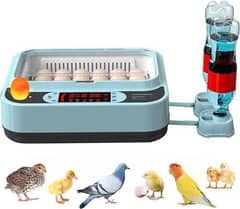 Incubator | Egg Hatching  | Autometic | Imported Incubator | Brooder