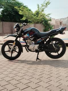 YBR 125g