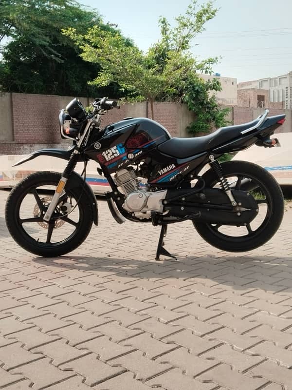 YBR 125g 0