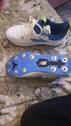 cricket spikes shoes