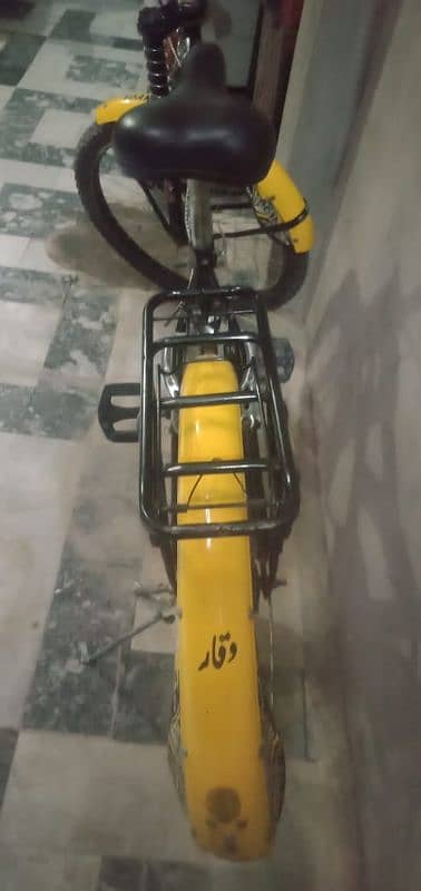 Rasing cycle Large Bilkul New hai Sirf 6 month use hai 2