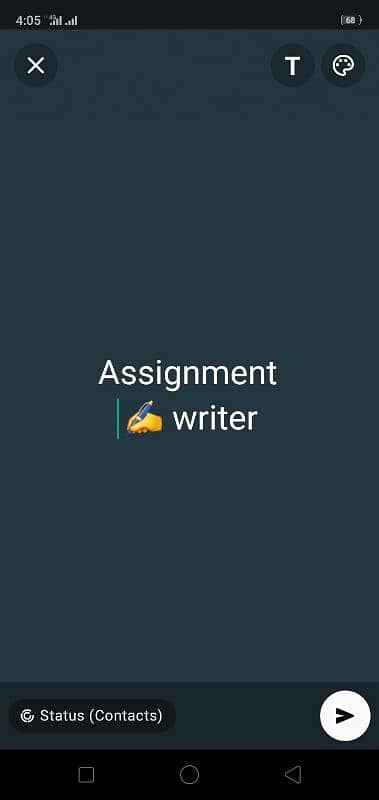 assignment writer 0