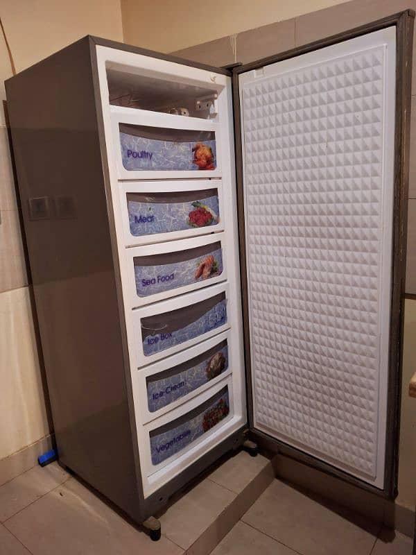 Dawlance Upright Deep Freezer 1