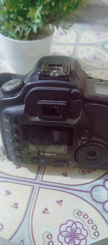 Canon 10D 0