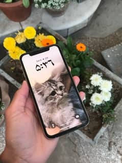 Iphone Xs 64 Gb Non Pta (display changed)