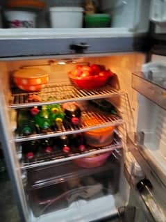 dowlance refrigerator