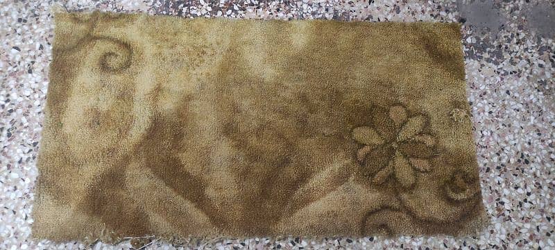 home used neat and clean carpet. 0