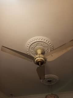 fan available best condition