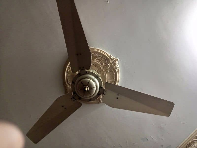 fan for sale best condition 3