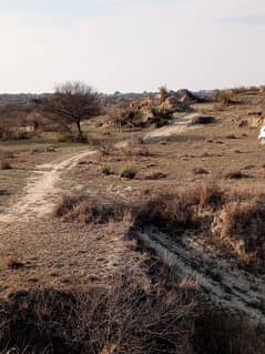 200 Kanal Agricultural Land For Sale In Chakwal Jhelum Road