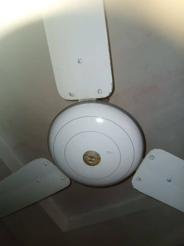 Ceiling fan for sale Fit Working 220v 1