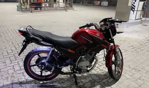 YBR 125 with golden number