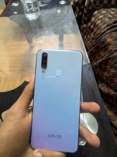 Vivo