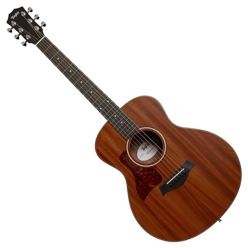 Taylor GS Mini 0