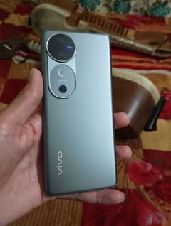 vivo v40 12/256