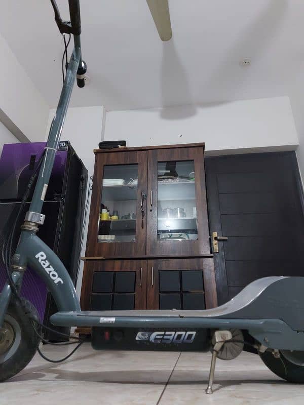 Razon Electric Scooter 4