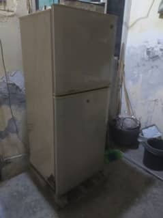 Pel Aspire Refrigerator