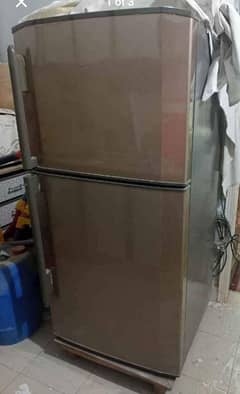 Hair Company Double Door Refrigerator