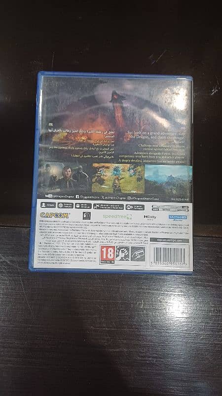 Dragon's dogma 2 0