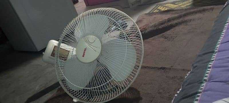 royal company fan for sale 0