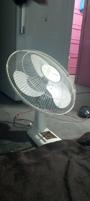 royal company fan for sale 1