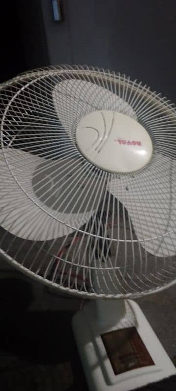 royal company fan for sale 2