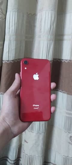 iphone XR 128 GB Dual PTA Proved Condition 10/10 battery 83 water Pack