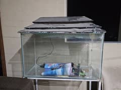 Aquaruim 2.5 feet with stand