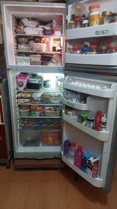 Orient Fridge / Fridge