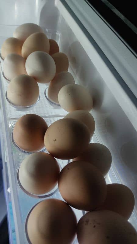 pure desi eggs 0