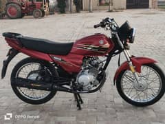 Yamaha YB125Z 2021 Model Lush Condition Available For Sale