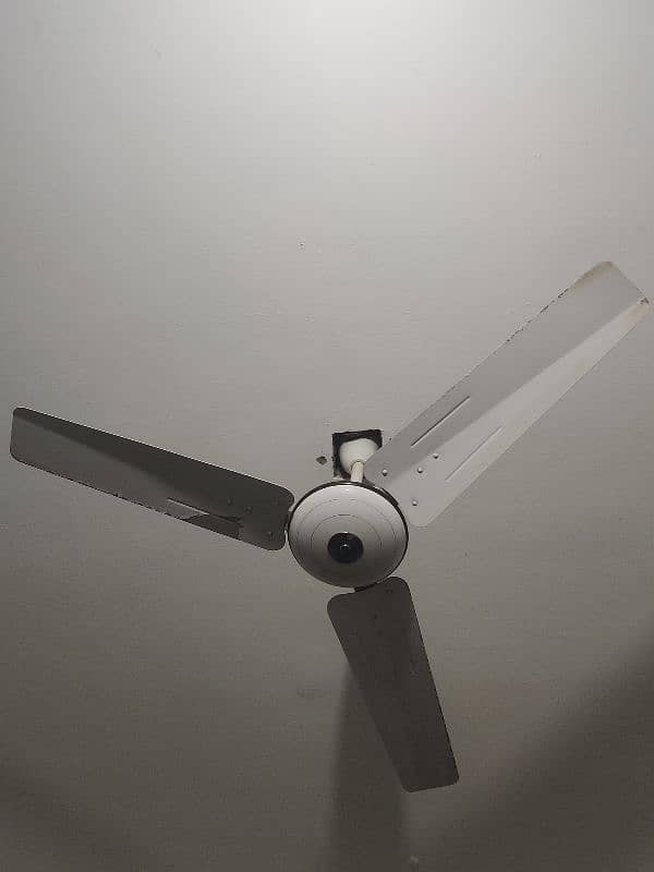 Pak fan 56" ,fresh condition, no repair no damage, first hand use only 2