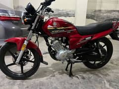 Yamaha YB 125Z DX 2022