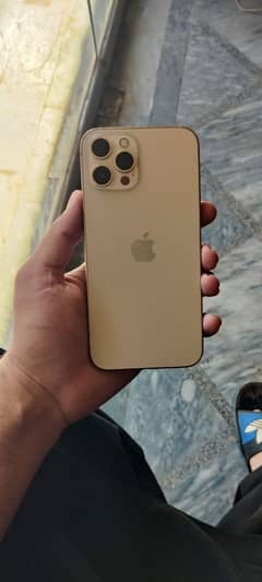 iphone 12 pro max 512gb pta approved