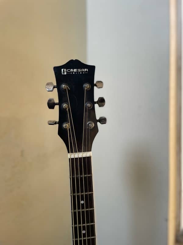 semi acoustic guitar+Capo+strings+pick 2