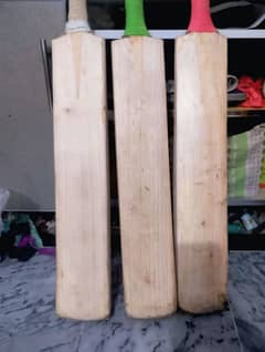 English willow Hard Ball cricket Bat