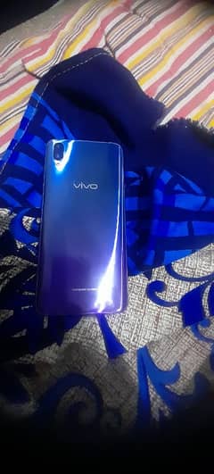 vivo