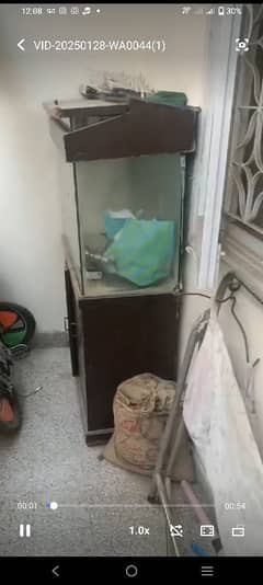 fish aquarium