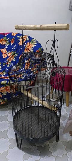 parrot cage