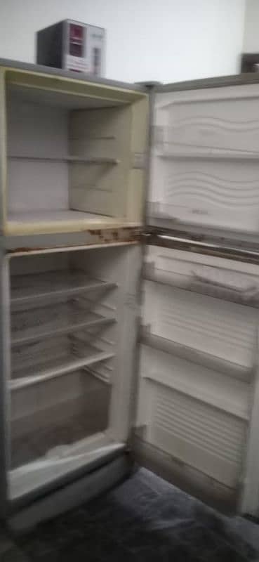 medium Size Fridge 4