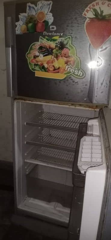 medium Size Fridge 6