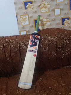 Cricket bat