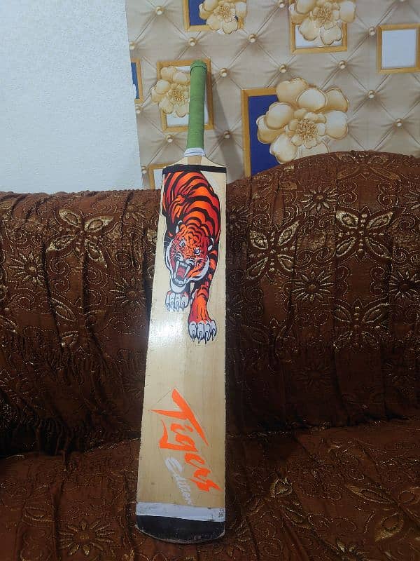 Cricket bat 1