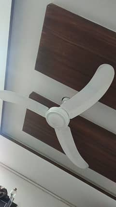 ceiling fan for sale