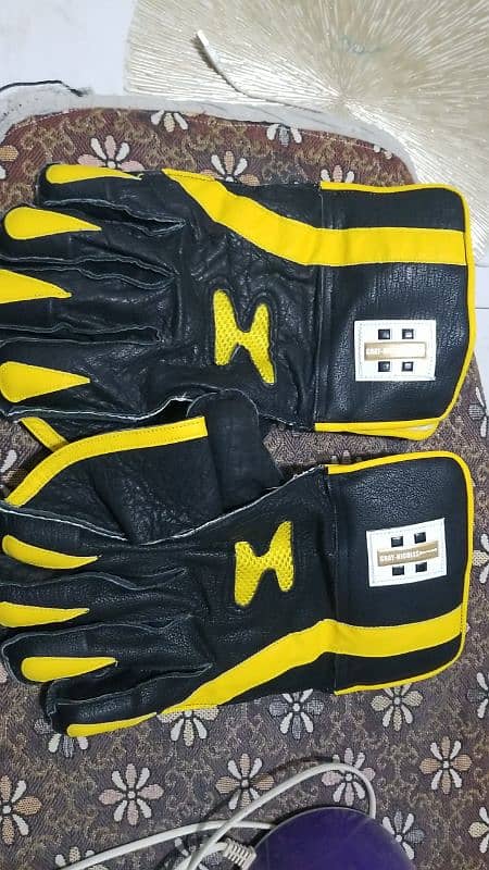 wicket keeping gloves 1