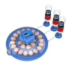 26 eggs Fully Automatic AC DC incubator