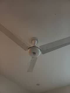 Royal Delux fan AC Only 6 month used