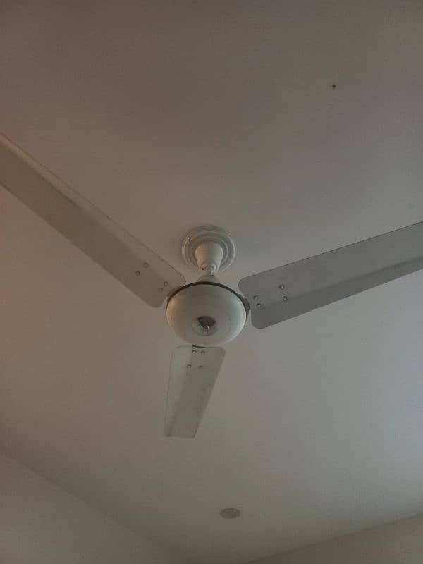 Royal Delux fan AC Only 6 month used 0