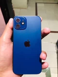 IPhone 12 JV 64 GB 85 Health condition 10/9.5 Demand 63 k